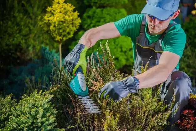 landscaping services Benton Heights